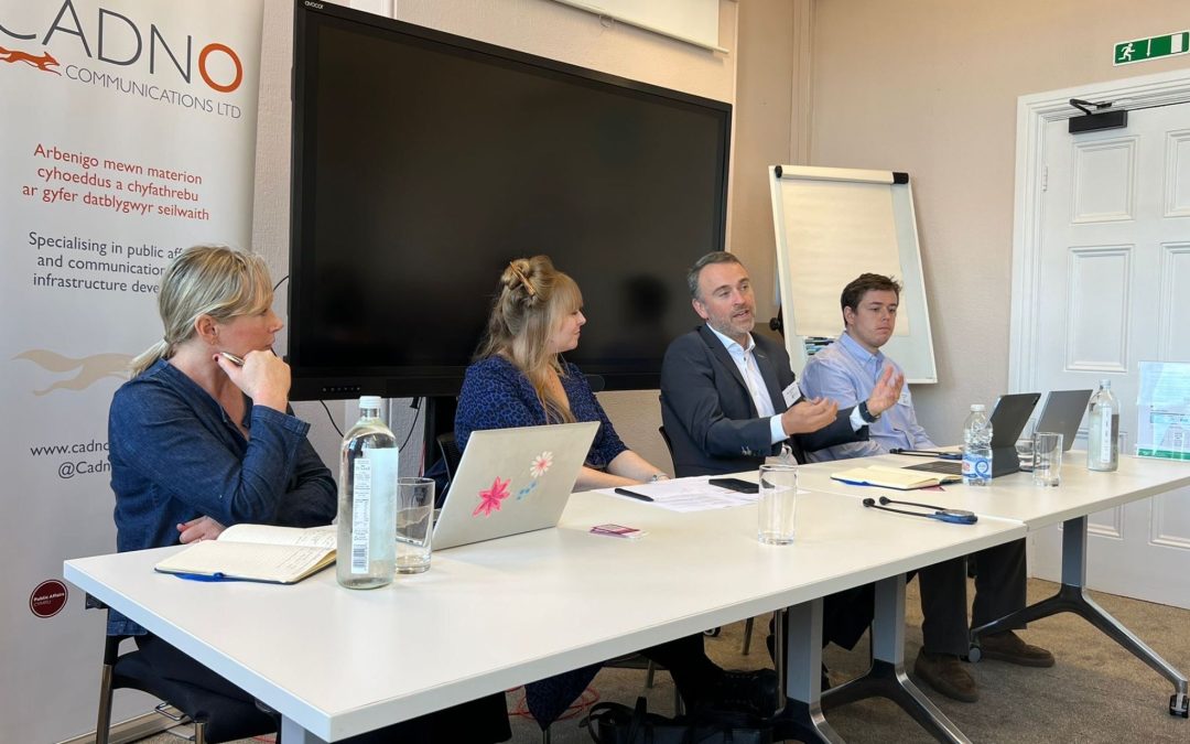 Senedd CPG on Renewable and Low Carbon Energy