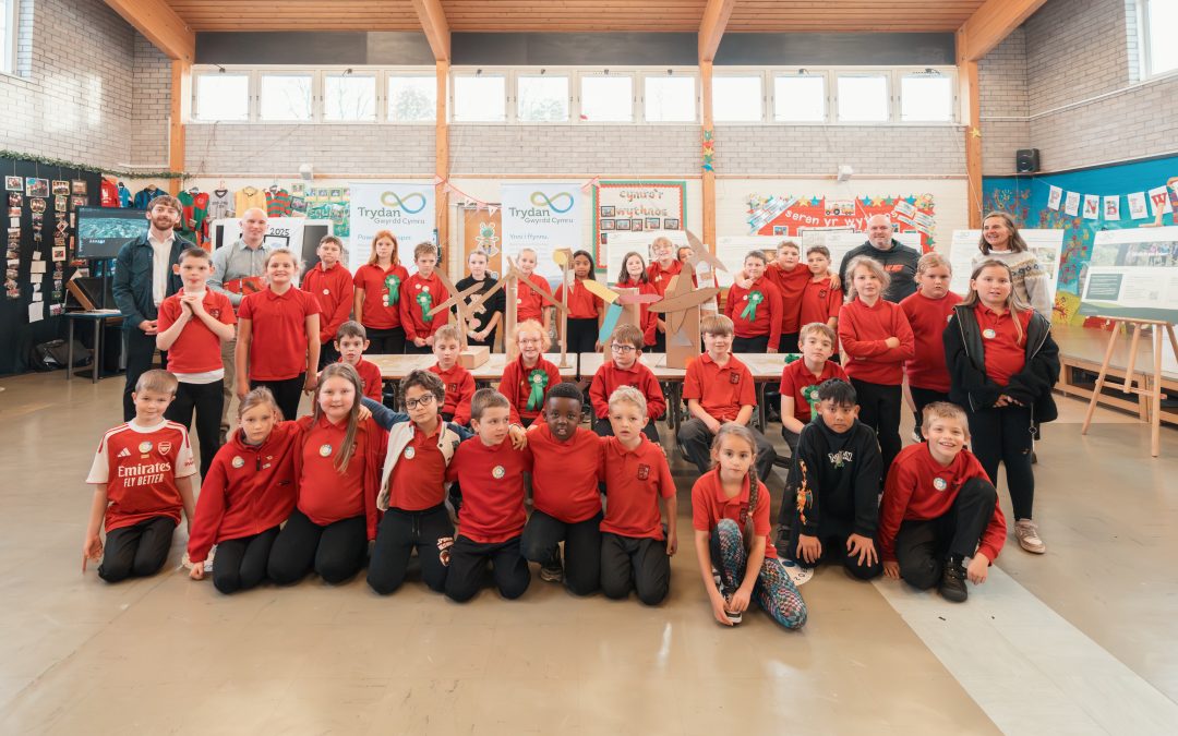 Ysgol Llanybydder Empowering Green Heroes