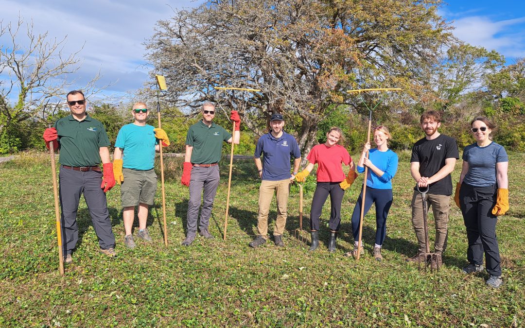 Volunteering at Lavernock Nature Reserve with Trydan Gwyrdd Cymru