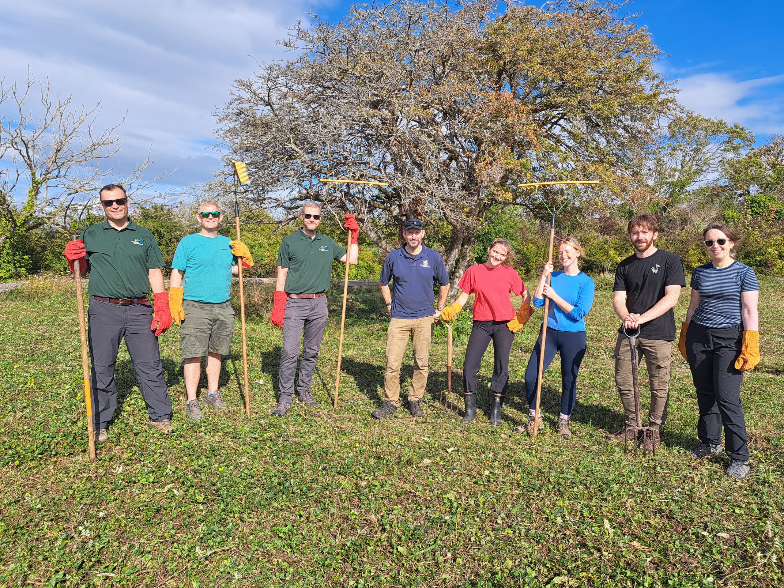 Team volunteering